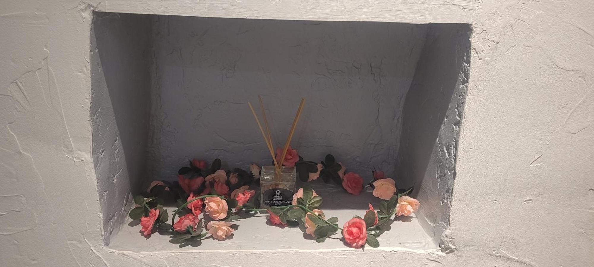 Ferienwohnung Parfum Rose Grasse Exterior foto
